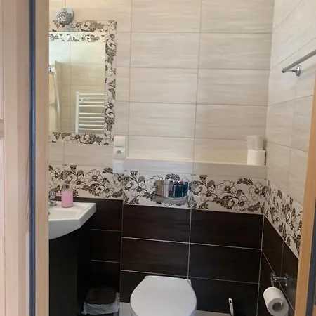 Magdalena Przy Termach Chocholowskich Apartamento